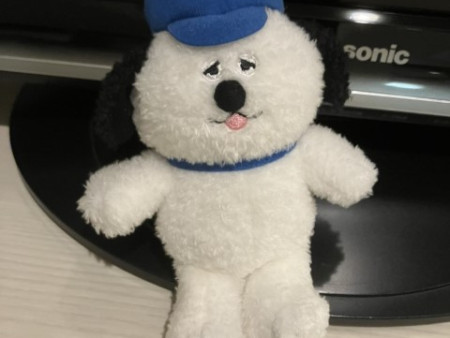 スヌーピーにこんなキャラいたの知らなかったんですけど!?(買った)