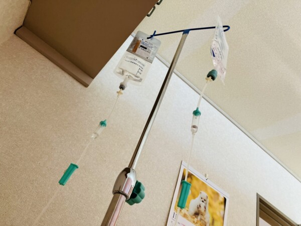 知らない天井ですね~